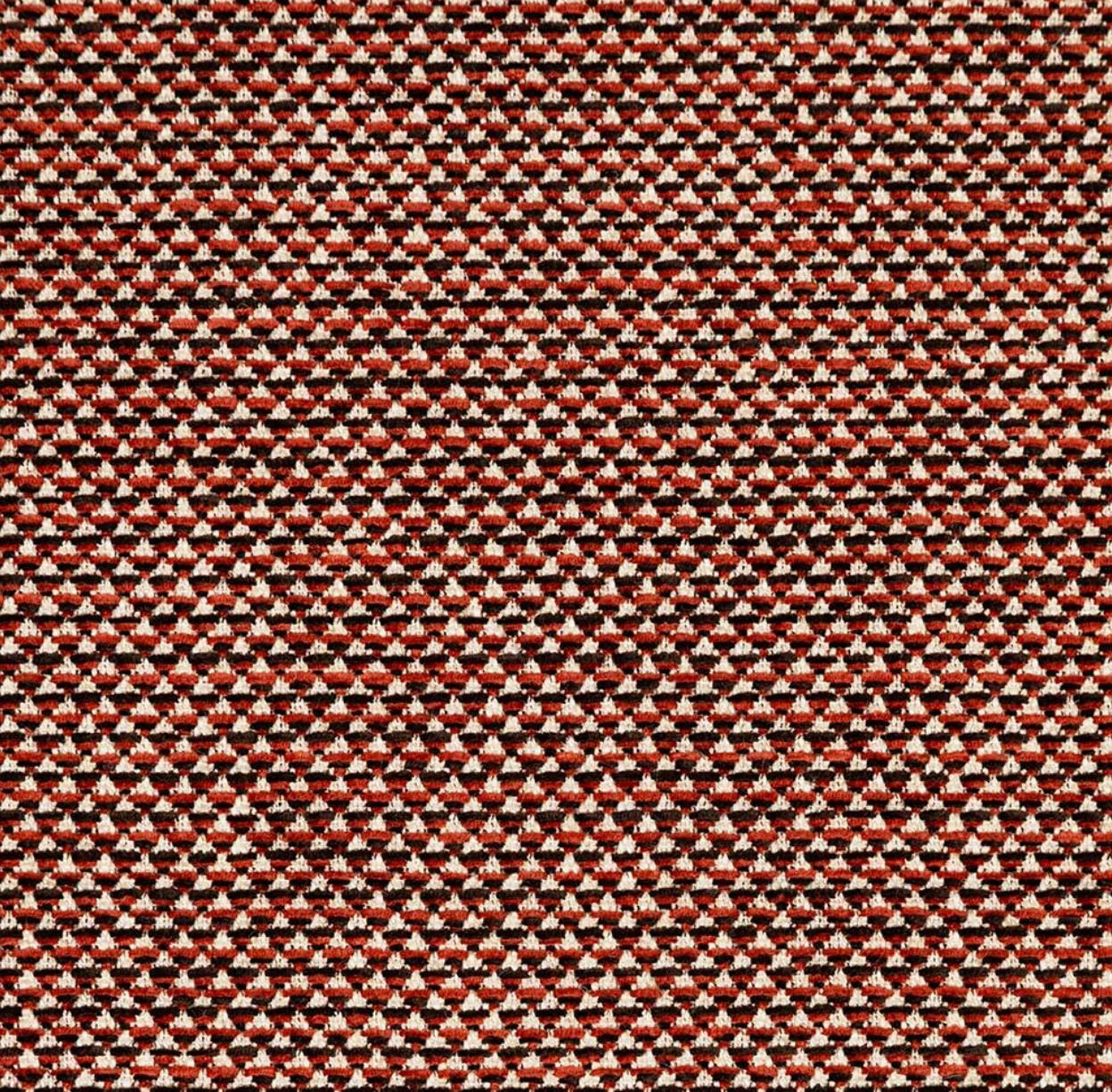 WEBSTER RUSSET