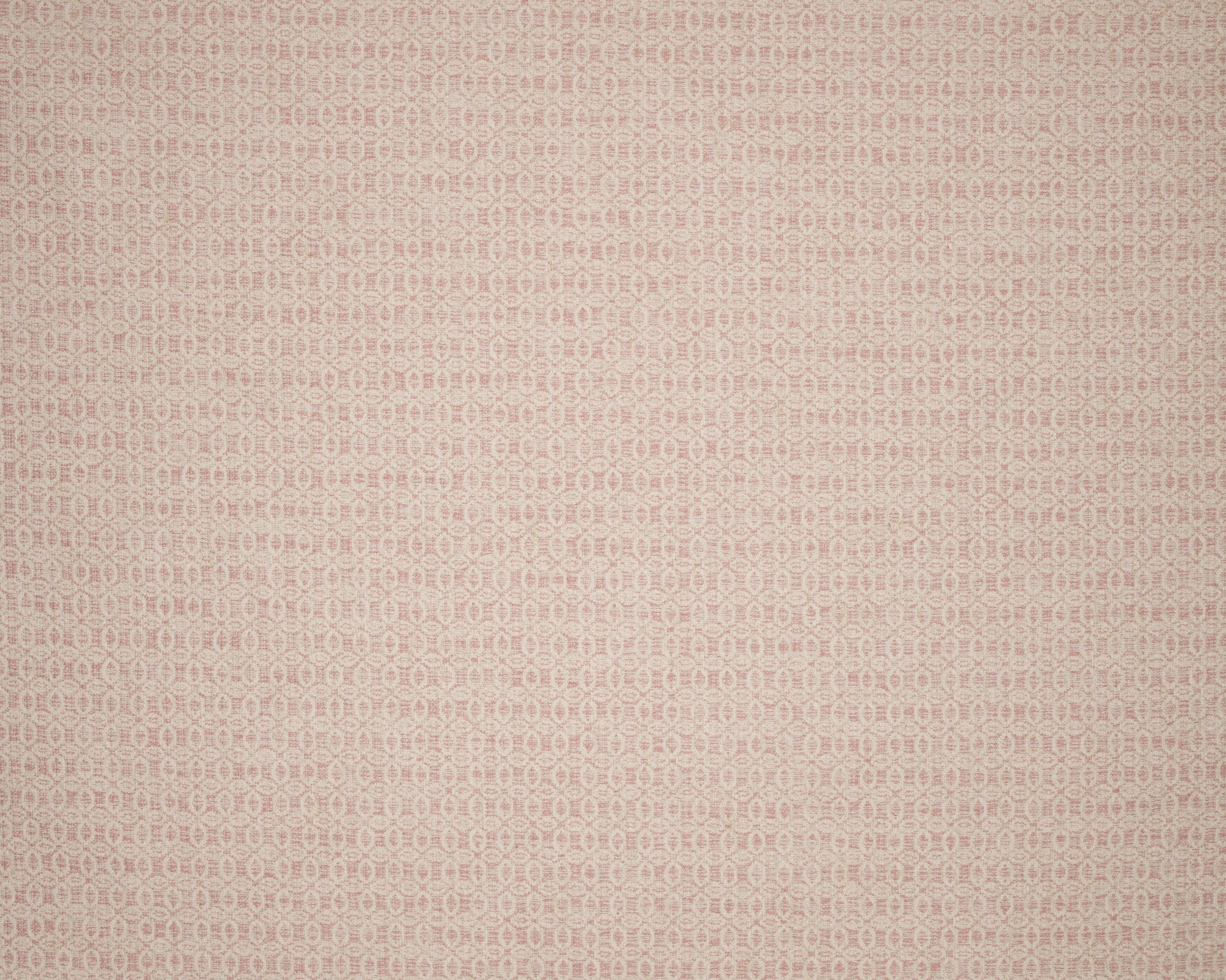 BARTON BLUSH