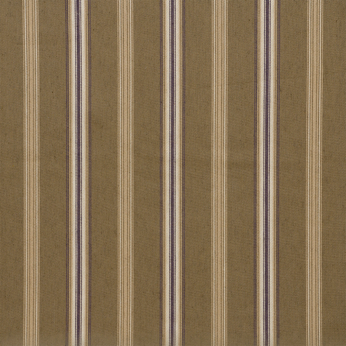 CANFIELD STRIPE