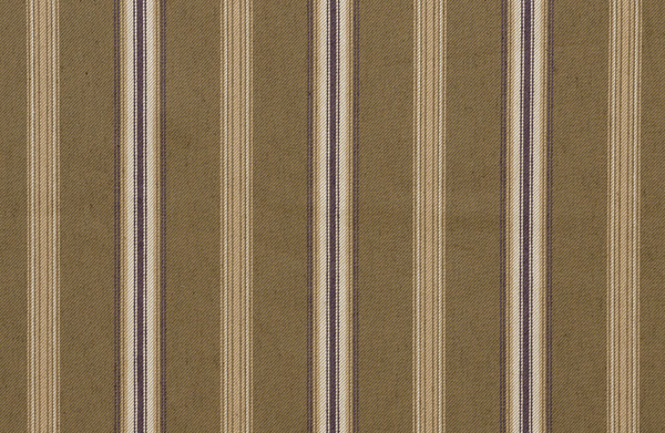 CANFIELD STRIPE MINK